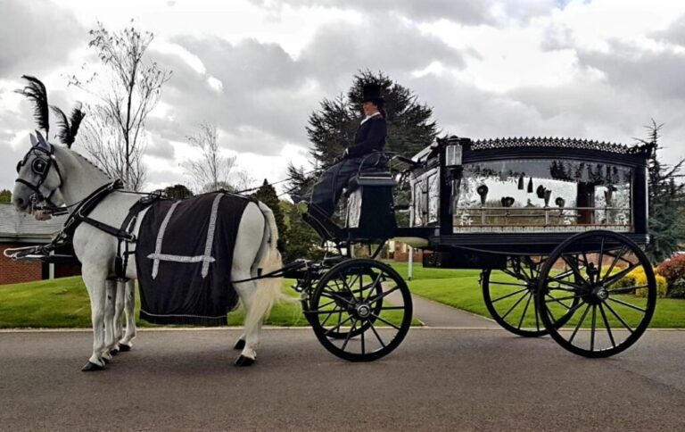 horse and carriage funeral cost